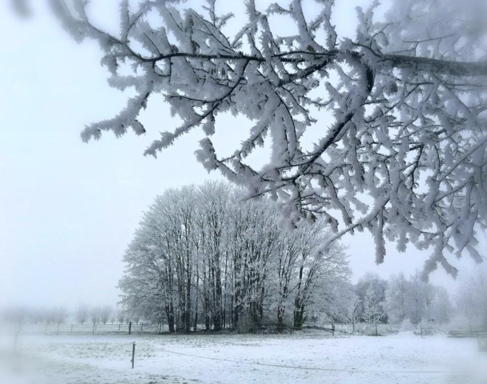 Expected Weather Conditions in Northern Minnesota and Northwest Wisconsin