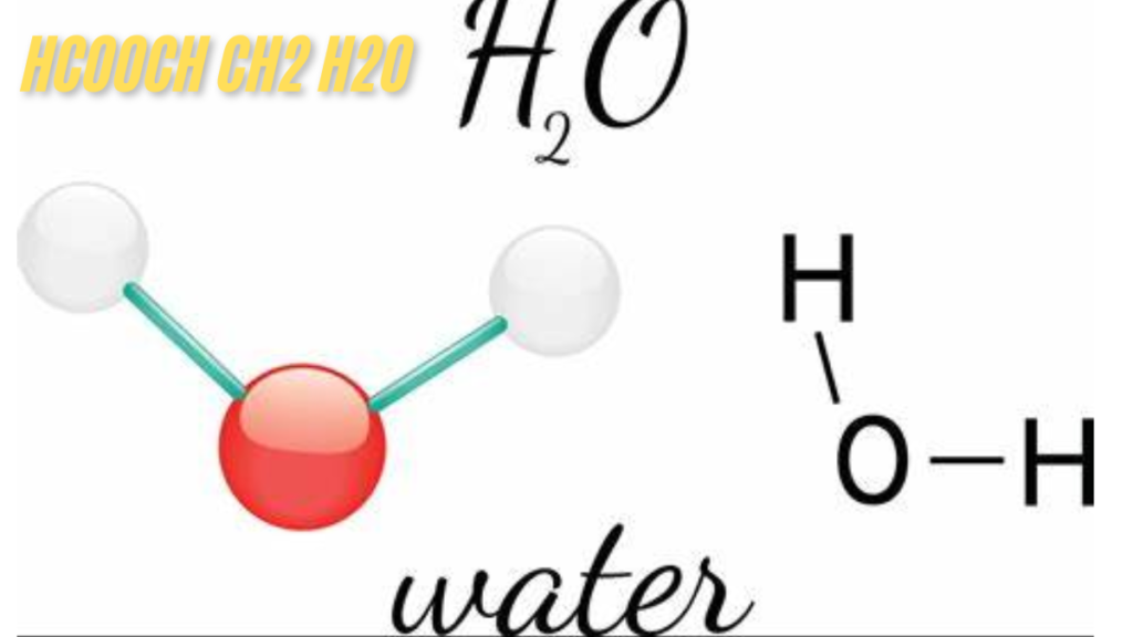 The Chemical Reaction of hcooch ch2 h2o Exploring the Process and best Impact