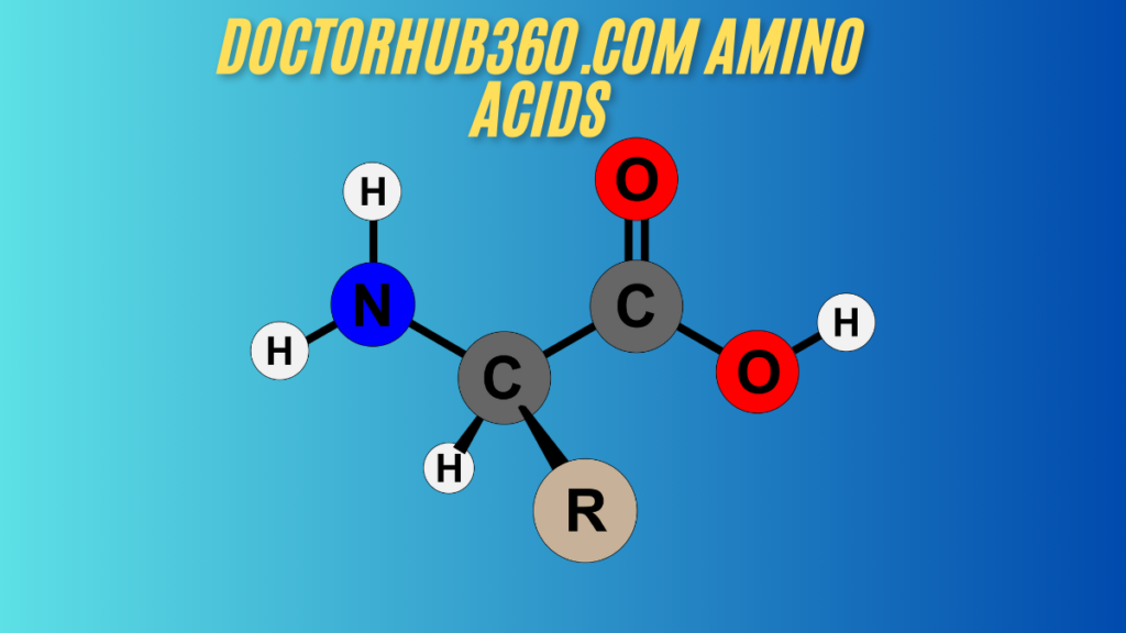 Understanding the Role of doctorhub360.com amino acids in Your Health best guide