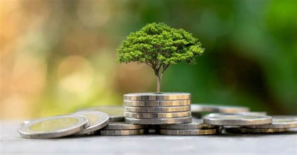 The Importance of Eco-Friendly Investments