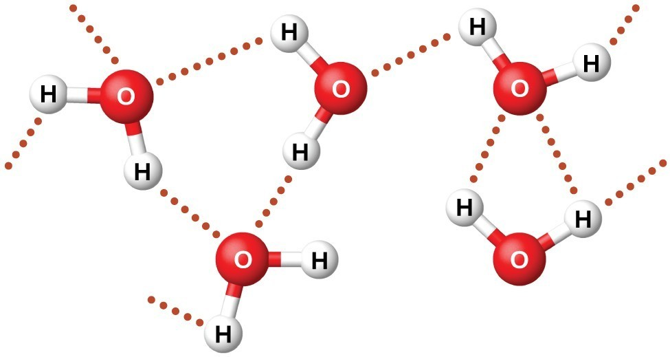 The Importance of Water (H₂O) in Chemistry